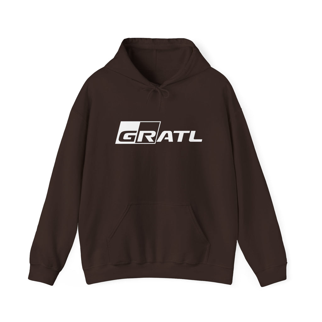 Hoodie W/ Light Logo