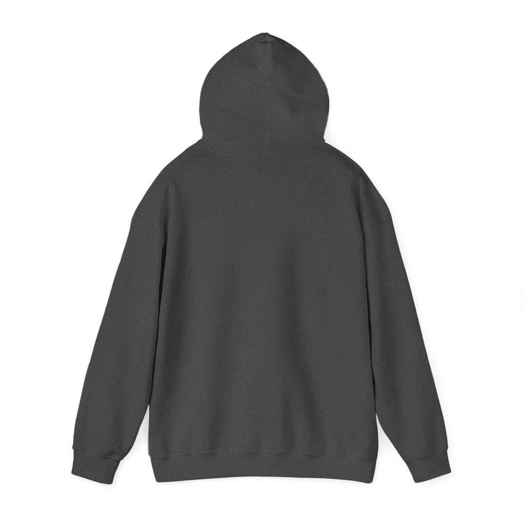 Hoodie W/ Light Logo